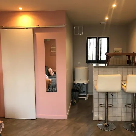 Petite Dependance Cosy Proche Aeroport Daire Orly